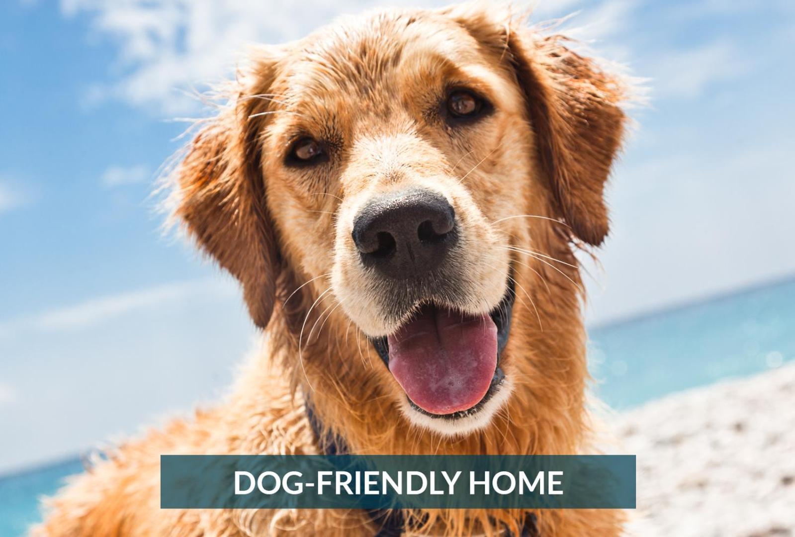 4011 The Dogs House 2 Min Walk To Beach Kitty Hawk Εξωτερικό φωτογραφία